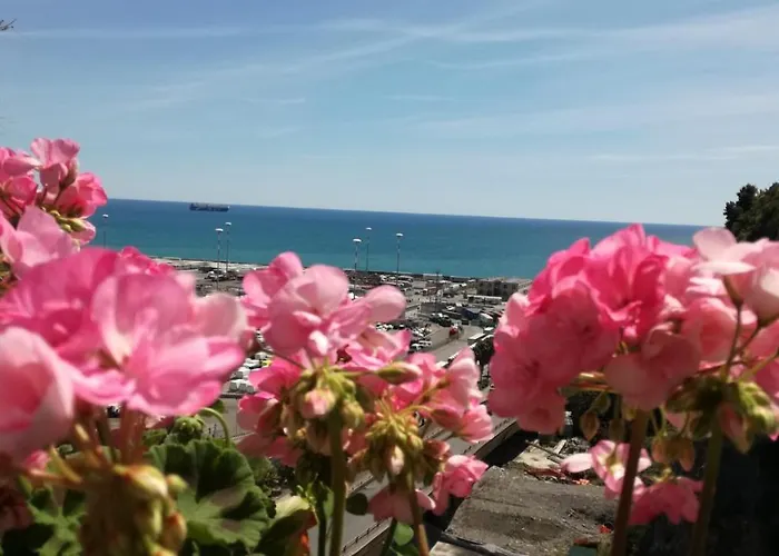 Hébergement de vacances Torreammare Salernes